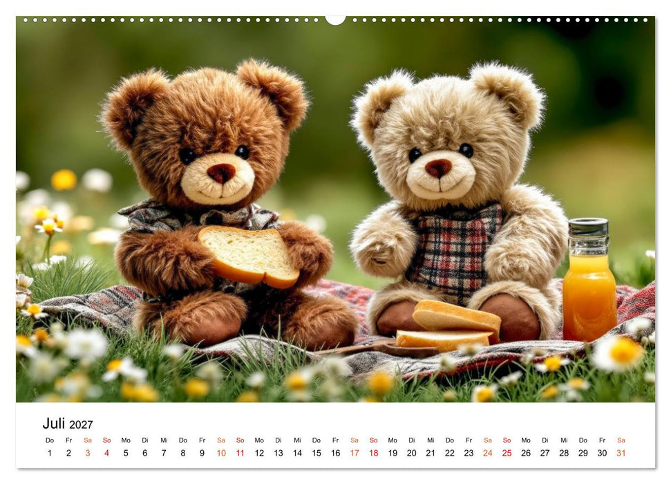 Teddybären - im Doppelpack durchs Jahr (CALVENDO Premium Wandkalender 2027)