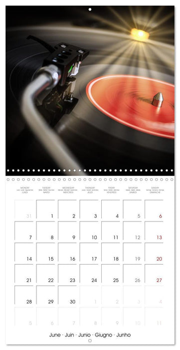 Vinyl in focus (CALVENDO Monthly Calendar 2027)