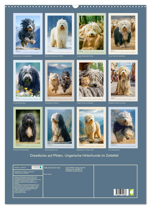 Dreadlocks auf Pfoten. Ungarische Hirtenhunde im Zottelfell (CALVENDO Wandkalender 2027)