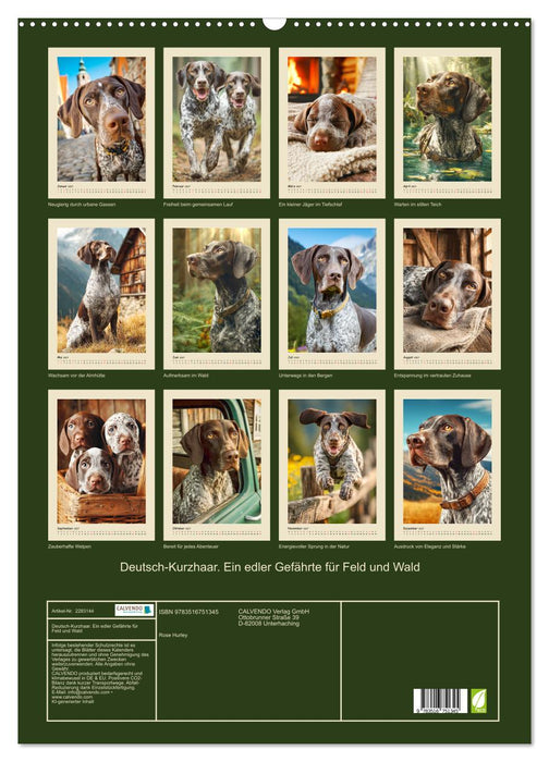 Deutsch-Kurzhaar. Ein edler Gefährte für Feld und Wald (CALVENDO Wandkalender 2027)