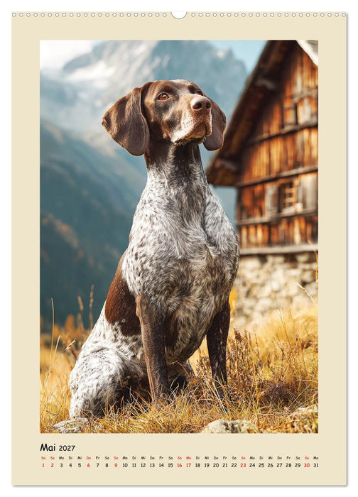 Deutsch-Kurzhaar. Ein edler Gefährte für Feld und Wald (CALVENDO Wandkalender 2027)