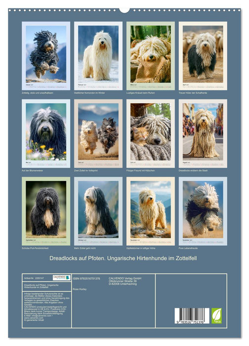 Dreadlocks auf Pfoten. Ungarische Hirtenhunde im Zottelfell (CALVENDO Premium Wandkalender 2027)