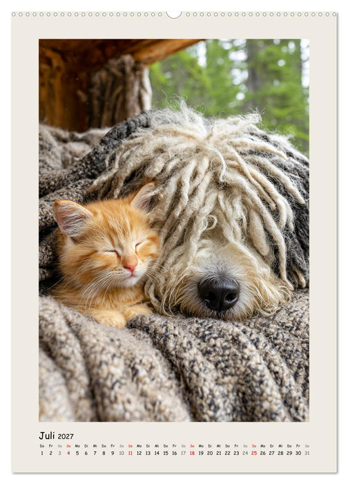 Dreadlocks auf Pfoten. Ungarische Hirtenhunde im Zottelfell (CALVENDO Premium Wandkalender 2027)