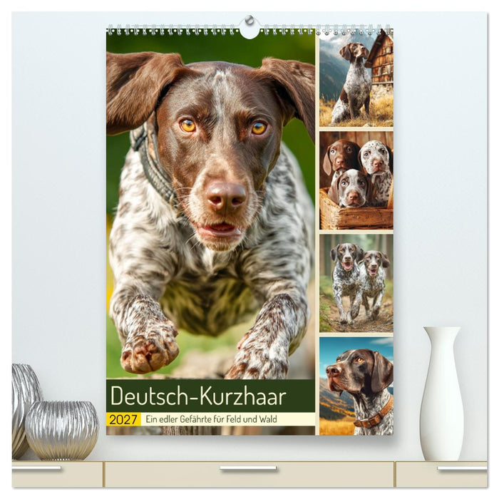 Deutsch-Kurzhaar. Ein edler Gefährte für Feld und Wald (CALVENDO Premium Wandkalender 2027)