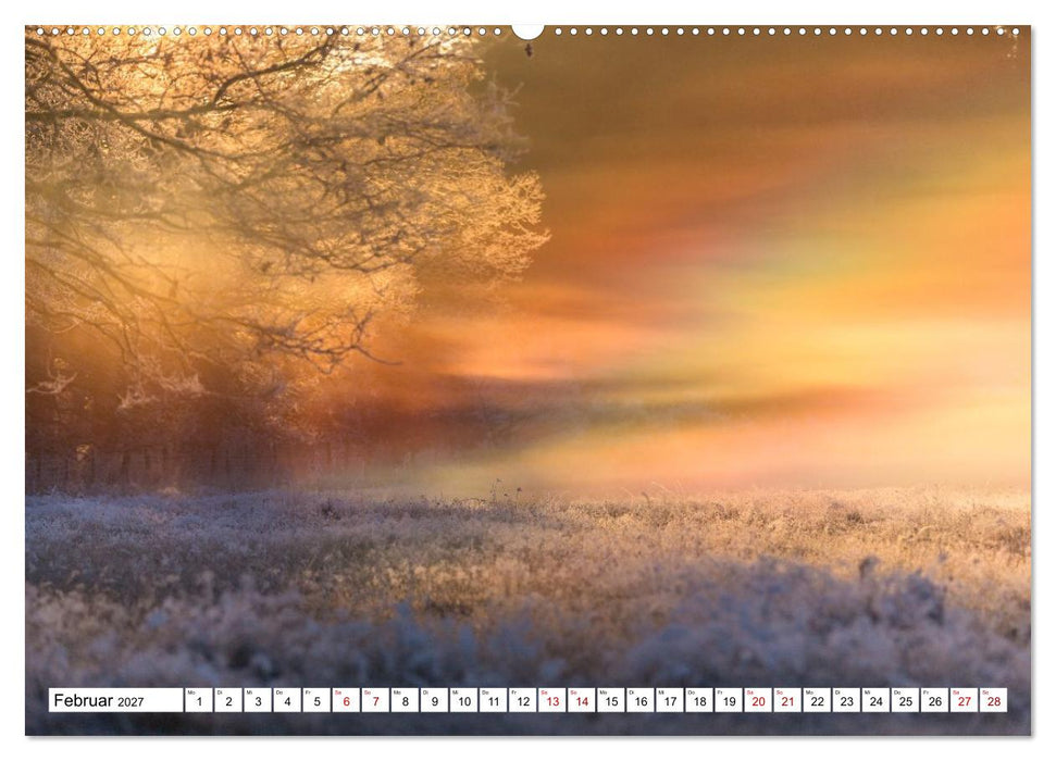 Mystische Momente in Mecklenburg-Vorpommern (CALVENDO Wandkalender 2027)