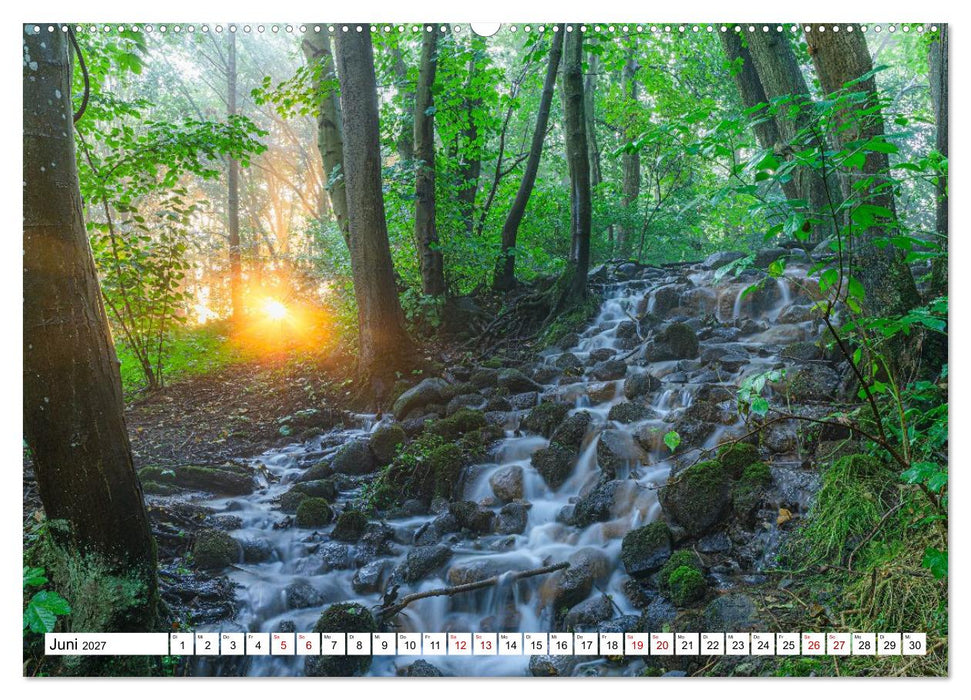 Mystische Momente in Mecklenburg-Vorpommern (CALVENDO Wandkalender 2027)