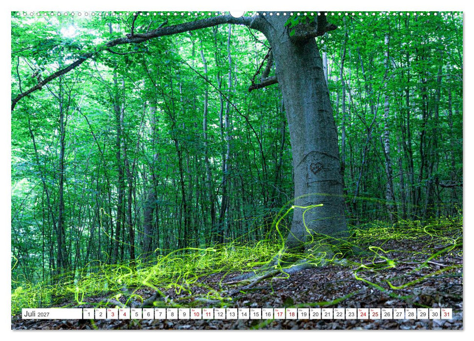 Natur und Tierparadies (CALVENDO Premium Wandkalender 2027)