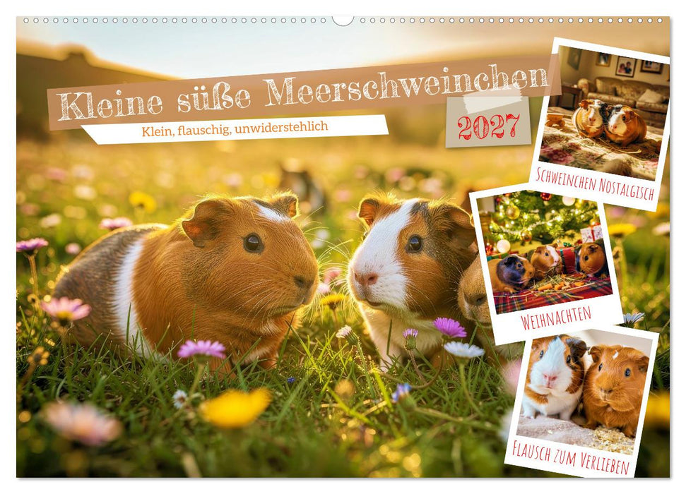Kleine süße Meerschweinchen (CALVENDO Wandkalender 2027)