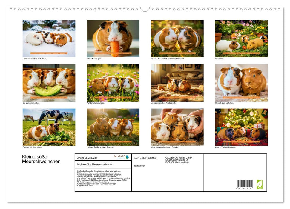 Kleine süße Meerschweinchen (CALVENDO Wandkalender 2027)
