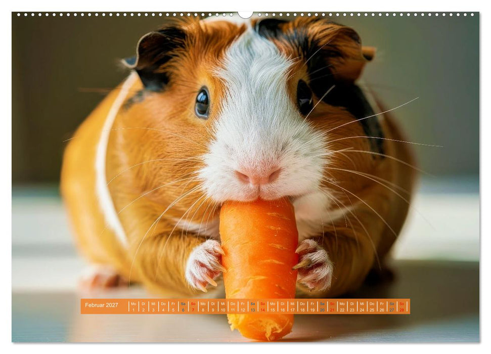 Kleine süße Meerschweinchen (CALVENDO Wandkalender 2027)