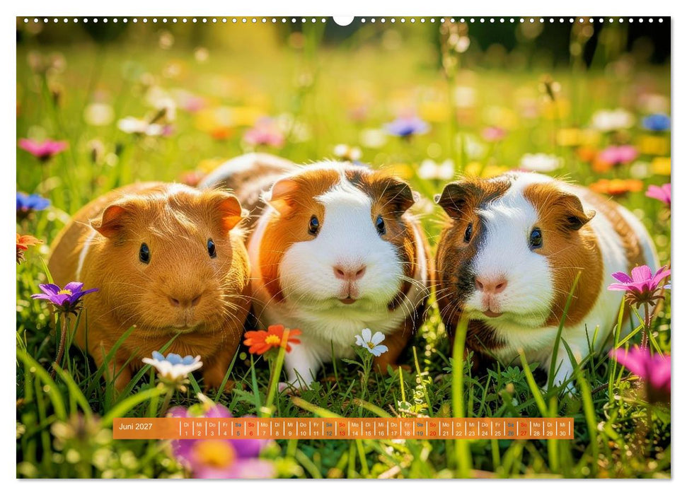 Kleine süße Meerschweinchen (CALVENDO Wandkalender 2027)