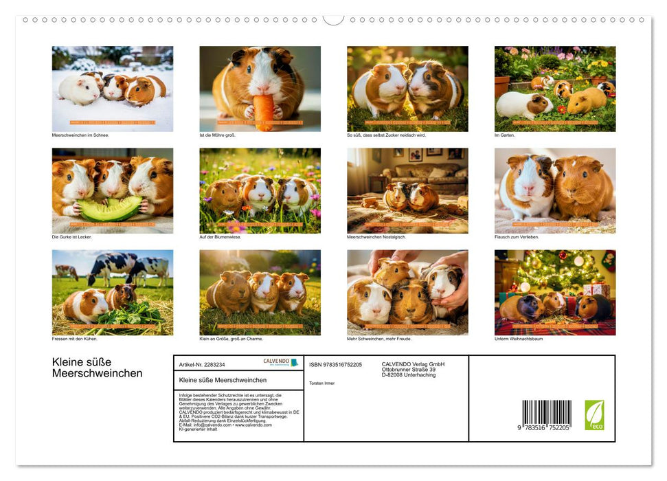 Kleine süße Meerschweinchen (CALVENDO Premium Wandkalender 2027)