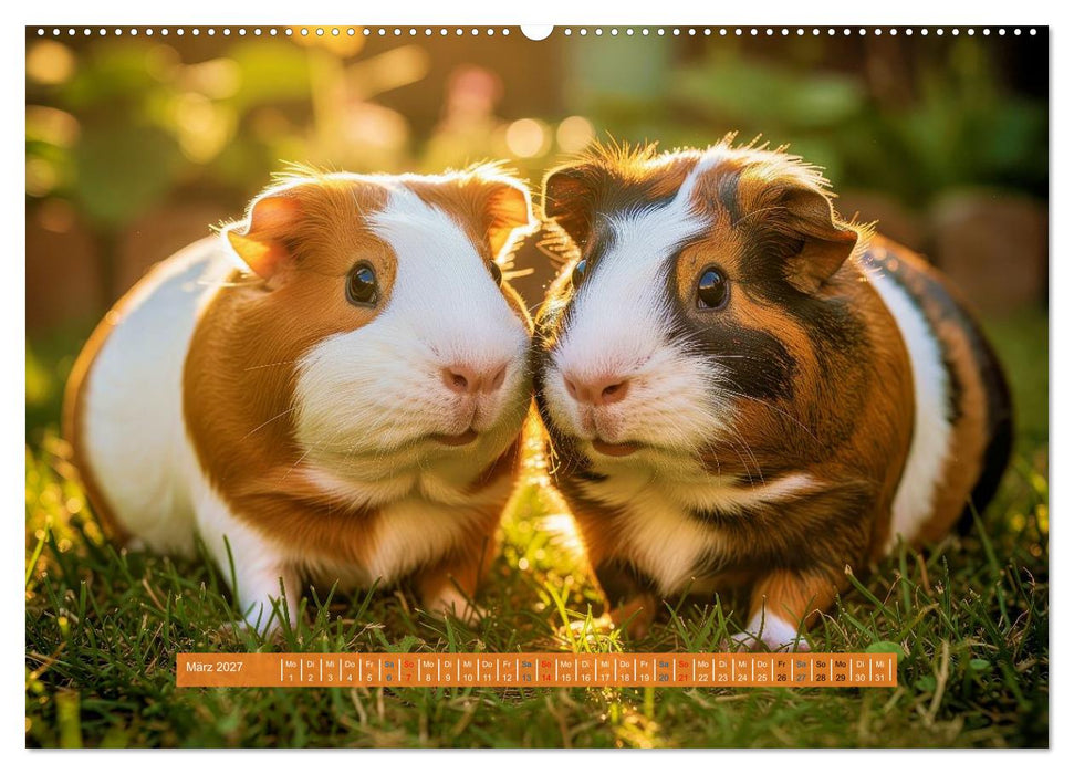 Kleine süße Meerschweinchen (CALVENDO Premium Wandkalender 2027)