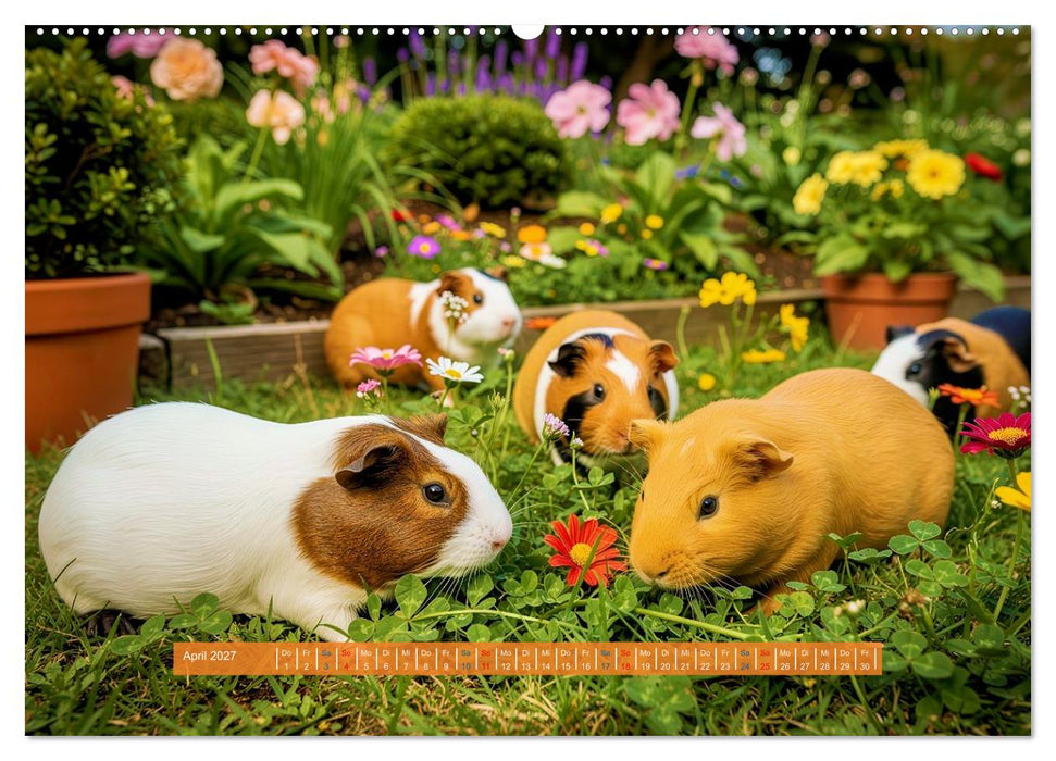 Kleine süße Meerschweinchen (CALVENDO Premium Wandkalender 2027)