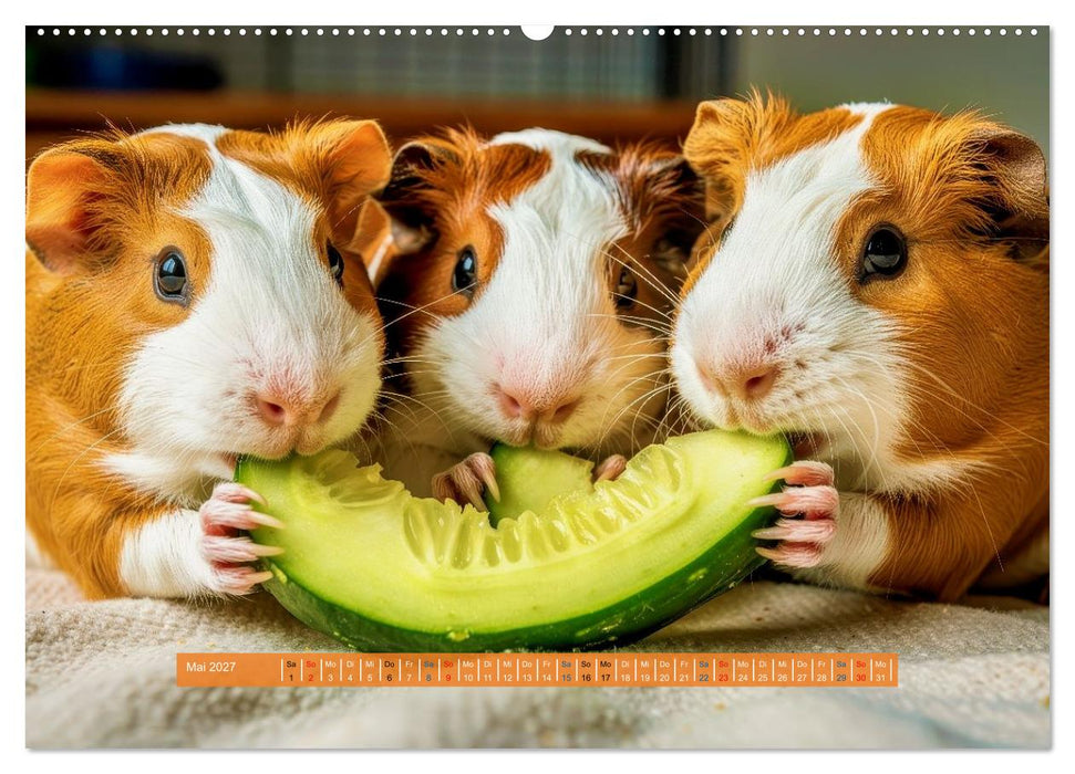 Kleine süße Meerschweinchen (CALVENDO Premium Wandkalender 2027)