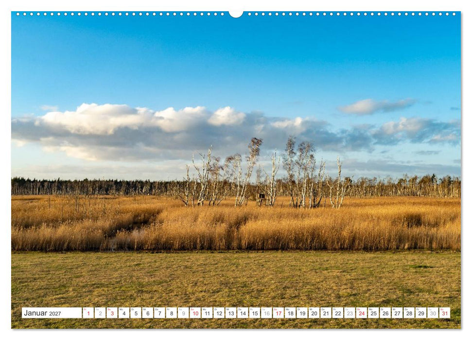 Mecklenburg-Vorpommern - Fischland-Darß-Zingst (CALVENDO Wandkalender 2027)