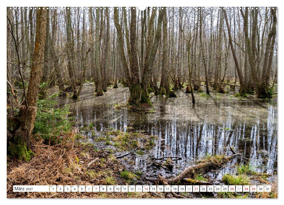 Mecklenburg-Vorpommern - Fischland-Darß-Zingst (CALVENDO Wandkalender 2027)