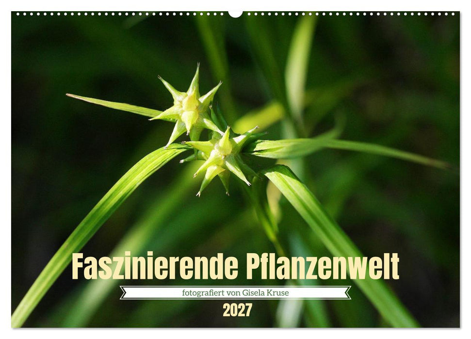 Faszinierende Pflanzenwelt (CALVENDO Wandkalender 2027)