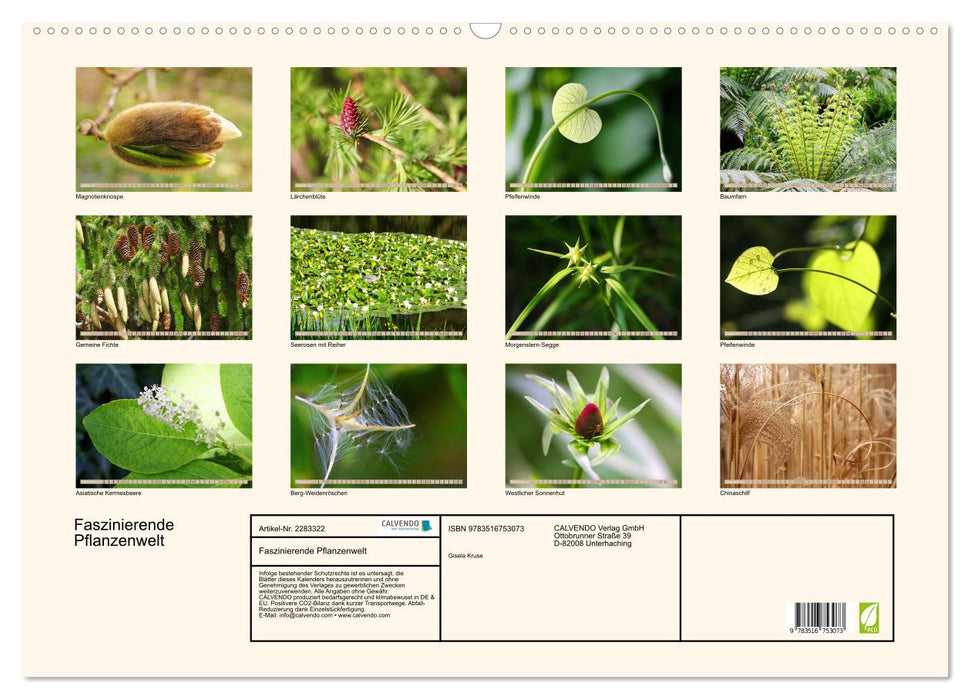 Faszinierende Pflanzenwelt (CALVENDO Wandkalender 2027)