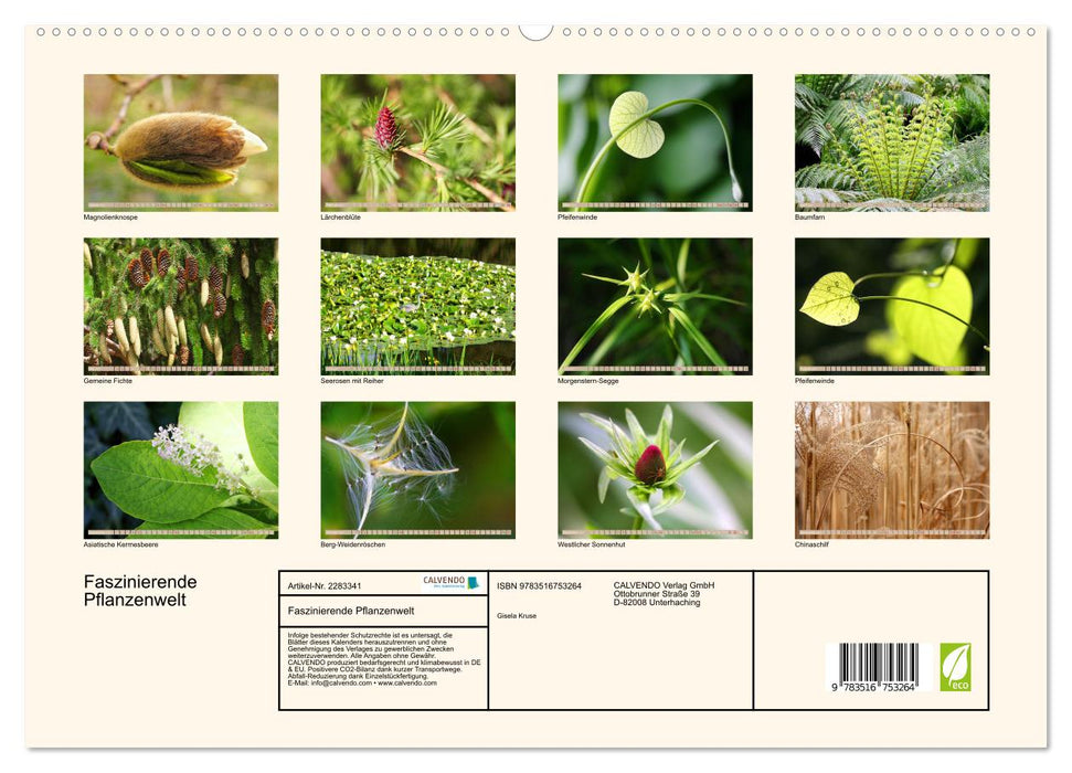 Faszinierende Pflanzenwelt (CALVENDO Premium Wandkalender 2027)