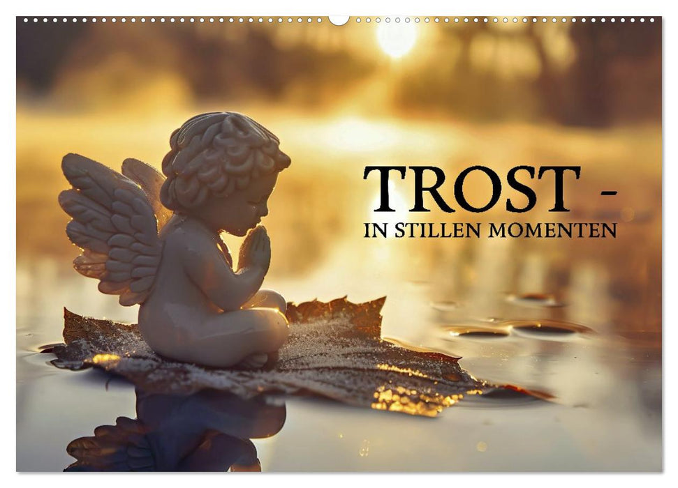 Trost - in stillen Momenten (CALVENDO Wandkalender 2027)