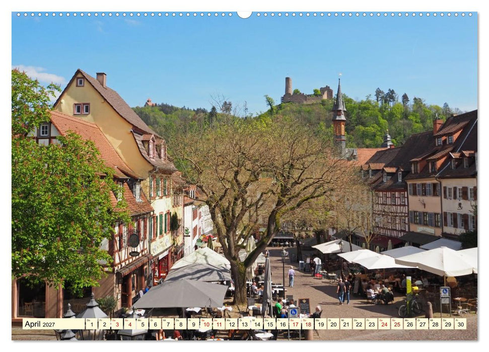 Weinheim im Herzen der Bergstraße (CALVENDO Premium Wandkalender 2027)