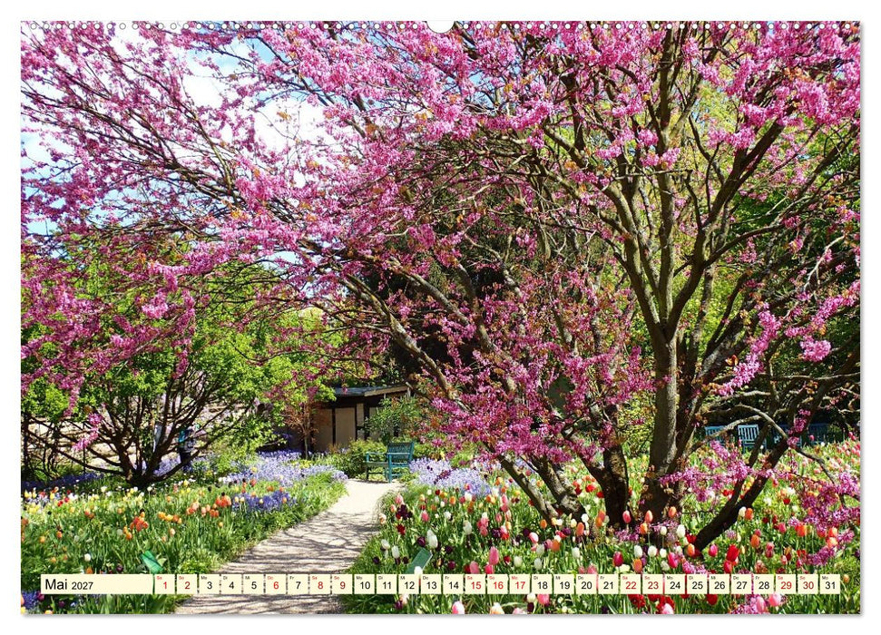 Weinheim im Herzen der Bergstraße (CALVENDO Premium Wandkalender 2027)