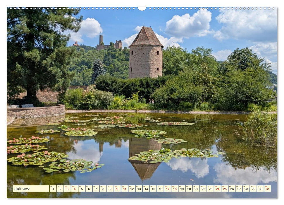 Weinheim im Herzen der Bergstraße (CALVENDO Premium Wandkalender 2027)