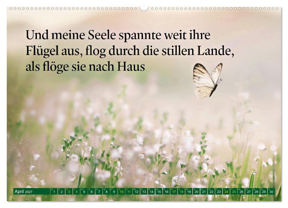 Trost - in stillen Momenten (CALVENDO Premium Wandkalender 2027)