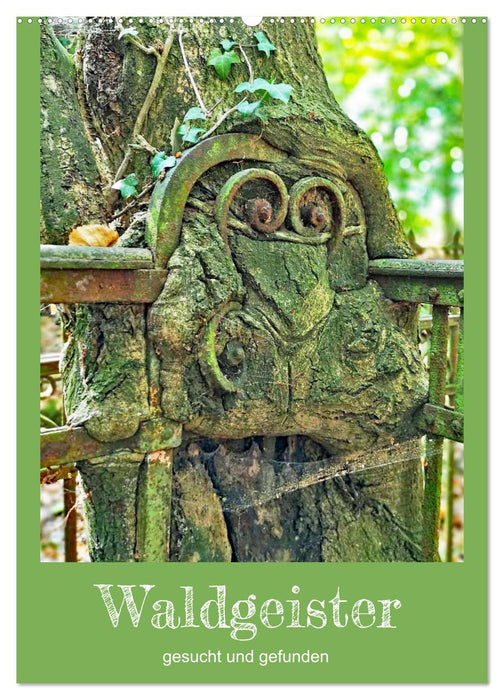 Waldgeister gesucht und gefunden (CALVENDO Wandkalender 2027)