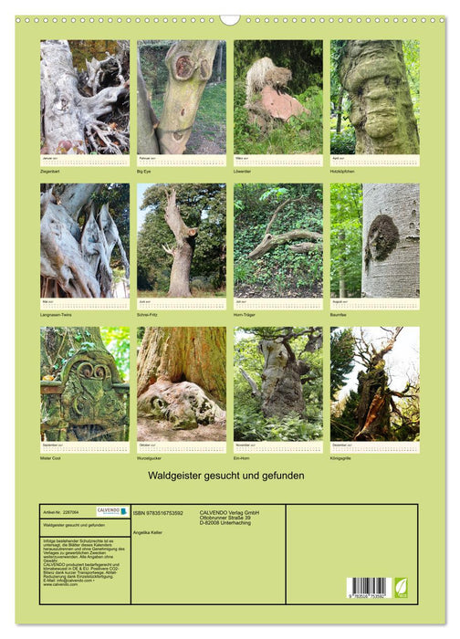 Waldgeister gesucht und gefunden (CALVENDO Wandkalender 2027)