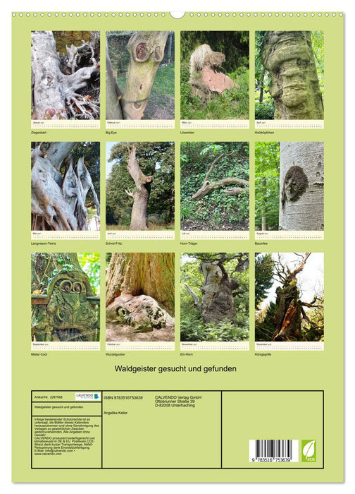 Waldgeister gesucht und gefunden (CALVENDO Premium Wandkalender 2027)