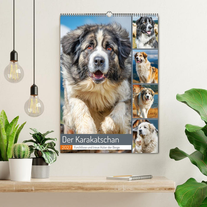 Der Karakatschan. Furchtlose und treue Hüter der Herden (CALVENDO Wandkalender 2027)