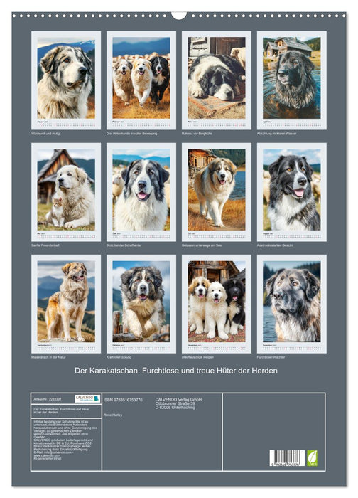 Der Karakatschan. Furchtlose und treue Hüter der Herden (CALVENDO Wandkalender 2027)