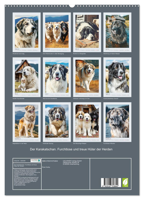 Der Karakatschan. Furchtlose und treue Hüter der Herden (CALVENDO Premium Wandkalender 2027)