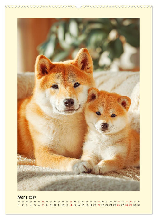 Shiba Inu Momente. Japans elegante Seelenhunde (CALVENDO Premium Wandkalender 2027)