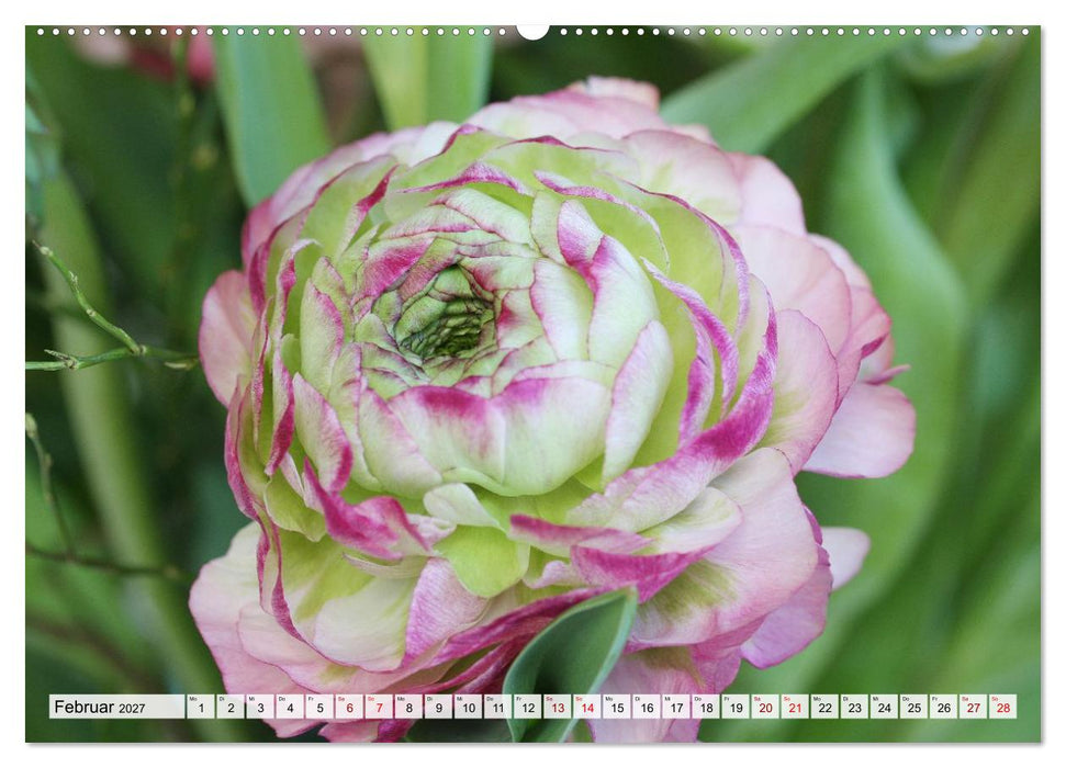 Blumen, bunt gemischt (CALVENDO Wandkalender 2027)