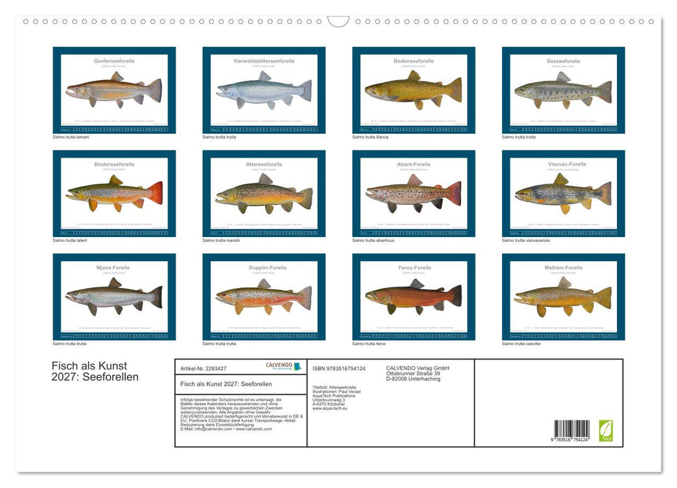 Fisch als Kunst 2027: Seeforellen (CALVENDO Wandkalender 2027)