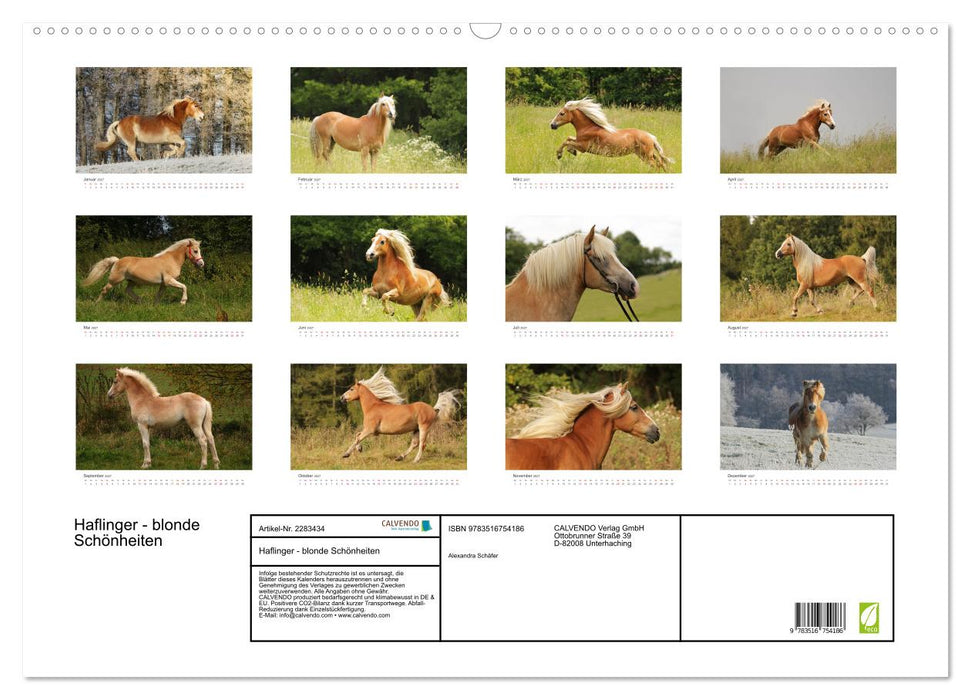 Haflinger - blonde Schönheiten (CALVENDO Wandkalender 2027)