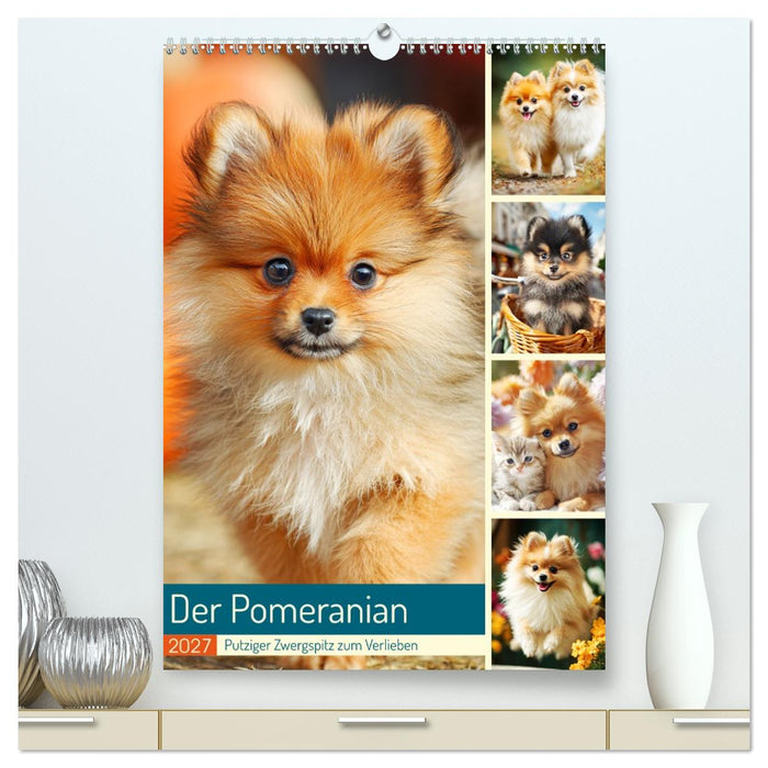 Der Pomeranian. Putziger Zwergspitz zum Verlieben (CALVENDO Premium Wandkalender 2027)