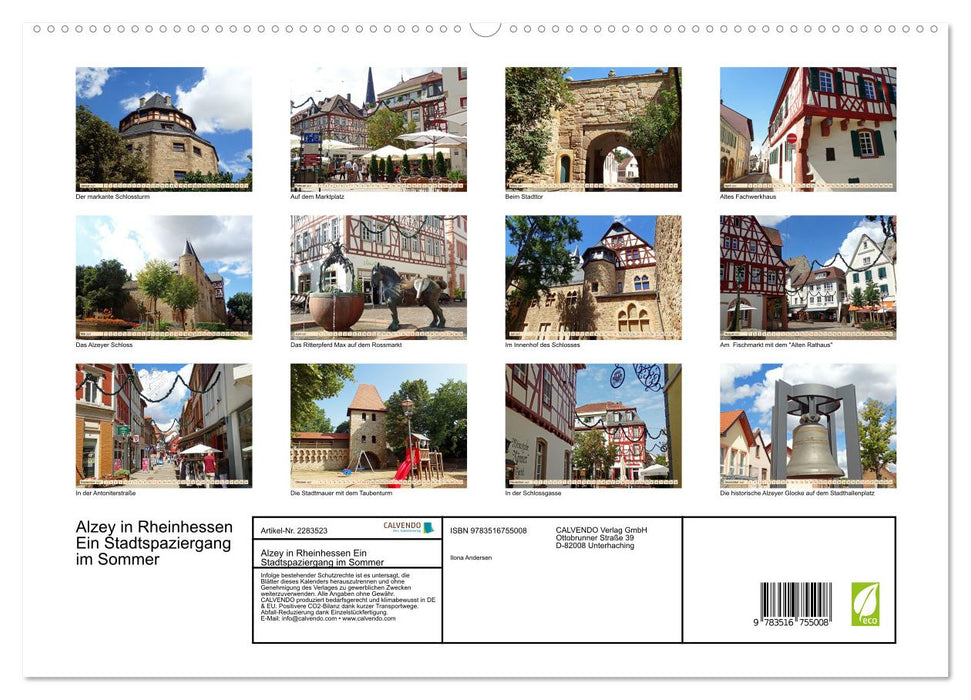 Alzey in Rheinhessen Ein Stadtspaziergang im Sommer (CALVENDO Premium Wandkalender 2027)