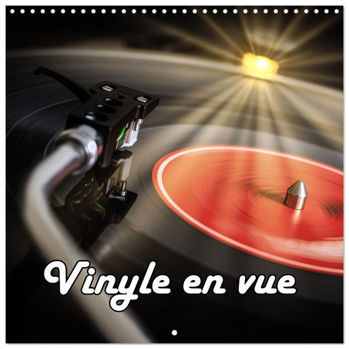 Vinyle en vue (CALVENDO Calendrier mensuel 2027)