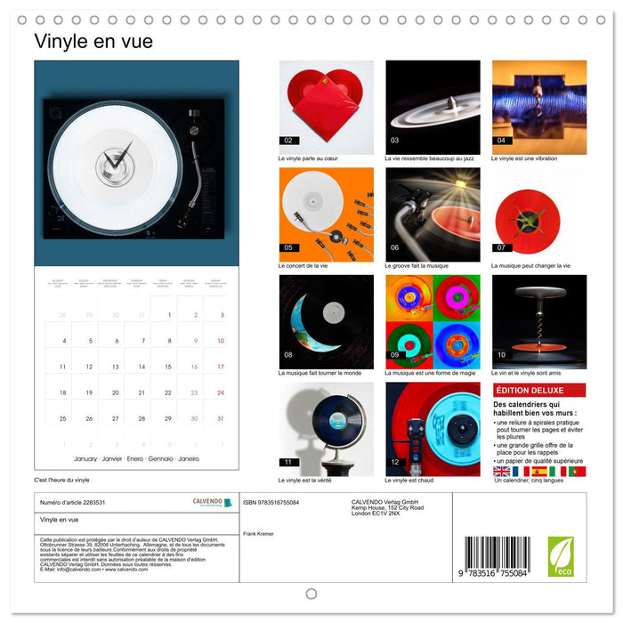 Vinyle en vue (CALVENDO Calendrier mensuel 2027)