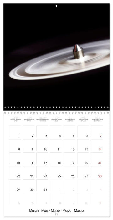 Vinyle en vue (CALVENDO Calendrier mensuel 2027)