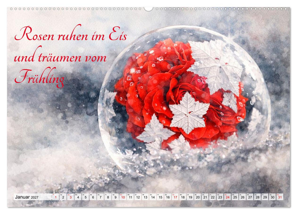 Rosenträume im Aquarellstil (CALVENDO Premium Wandkalender 2027)