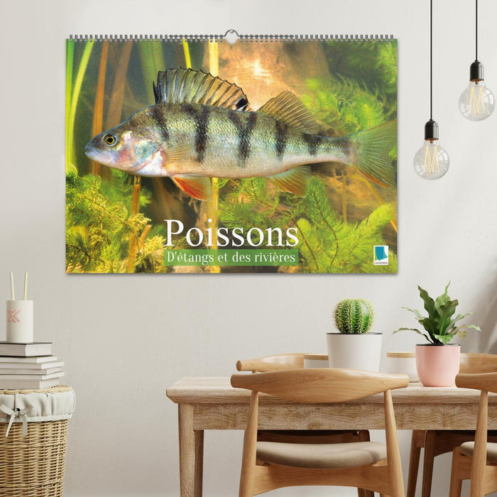 Poissons : d'étangs et des rivières (CALVENDO Calendrier mensuel 2027)