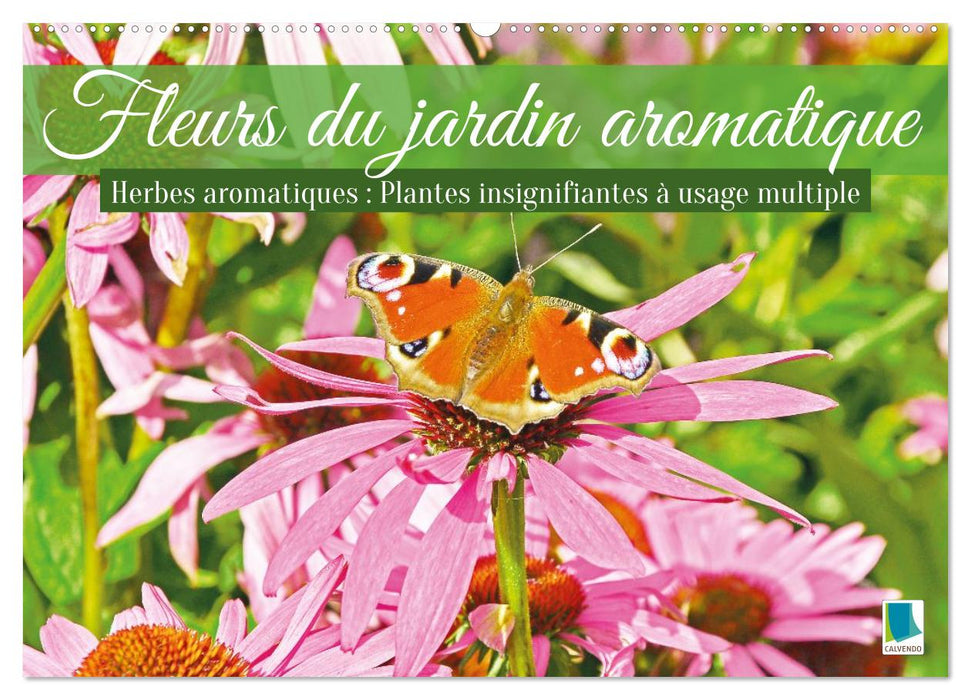 Fleurs du jardin aromatique (CALVENDO Calendrier mensuel 2027)