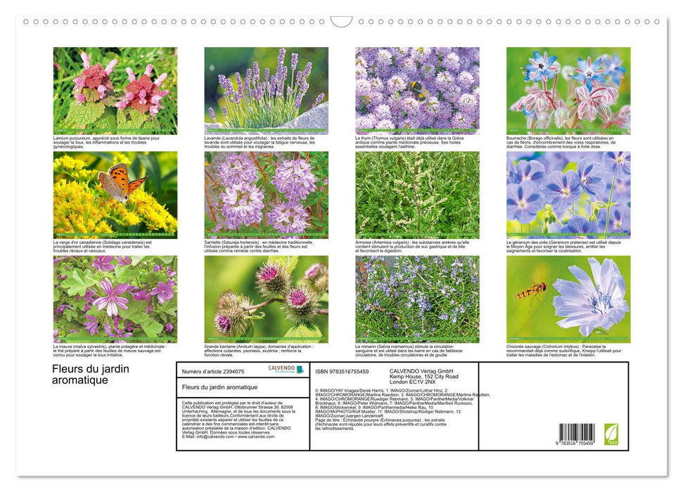 Fleurs du jardin aromatique (CALVENDO Calendrier mensuel 2027)