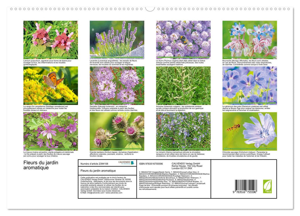 Fleurs du jardin aromatique (CALVENDO Calendrier supérieur 2027)