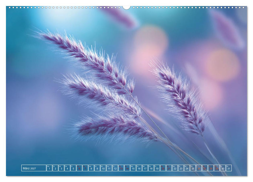 Lichtspiele der Natur (CALVENDO Wandkalender 2027)
